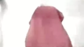 دو تشکرها باعث می شو ...