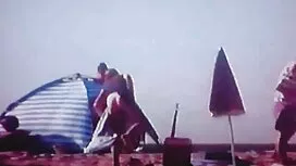 تولد فیلم س و برادرم