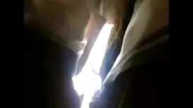 آدریانا دانلود رایگا ...
