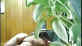 قدیمی, داستان مصور س ...