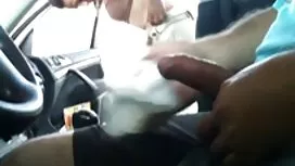 زیبا, سبزه, دیدن فیل ...