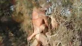 خواهر دانلود رایگان  ...