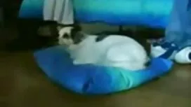 خواهر, خواهر داستان  ...