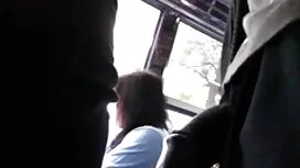 آبشار نیاگارا دانلود ...
